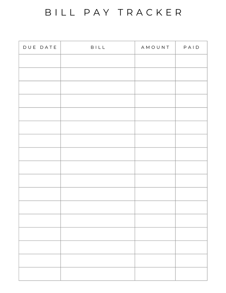Budget Planner Dated 2023- Digital Format